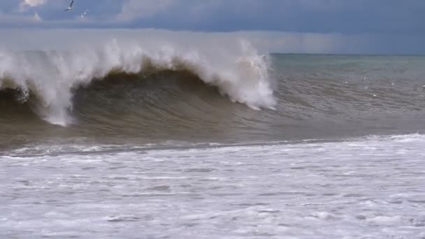 Tempête sur la mer. D'énormes vagues s'écrasent et pulvérisent sur le rivage. Mouvement lent — Video