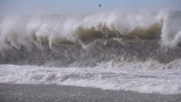 Deniz fırtınası. Büyük dalgalar kilitlenme ve ilaçlama sahilde vardır. Ağır çekim — Stok video