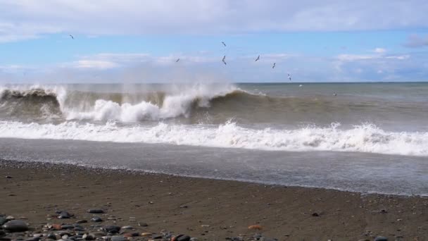 Storm on the Sea. Huge Waves are Crashing and Spraying on the Beach. Slow Motion — Stock Video