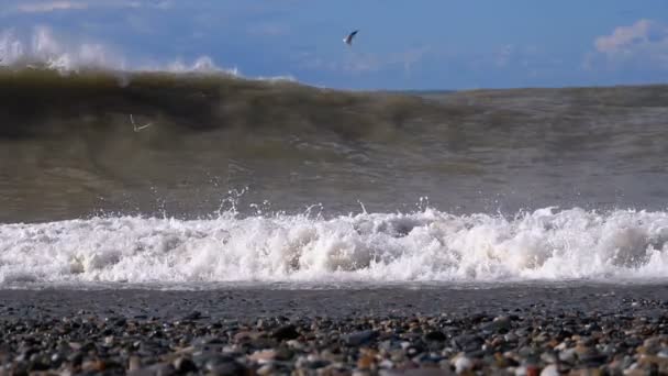 Морской шторм. Огромные волны разбиваются и распыляются на пляже. Slow Motion — стоковое видео