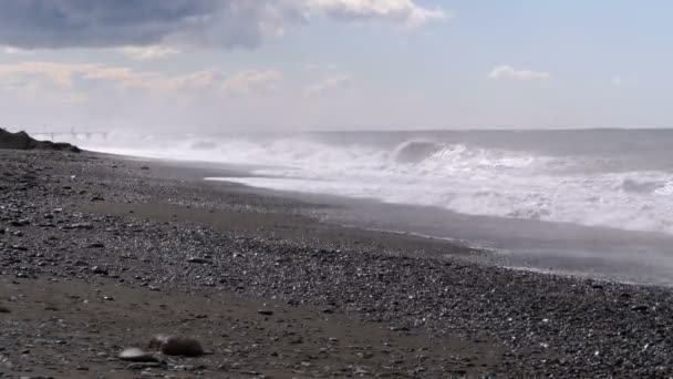 海の嵐。巨大な波が海岸にクラッシュの — ストック動画