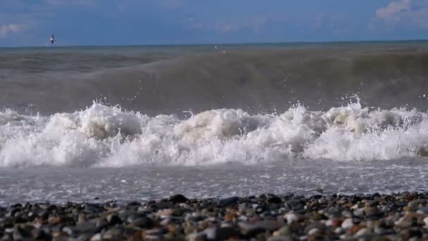 Tormenta en el mar. Grandes olas se estrellan y pulverizan en la playa. Moción lenta — Vídeos de Stock
