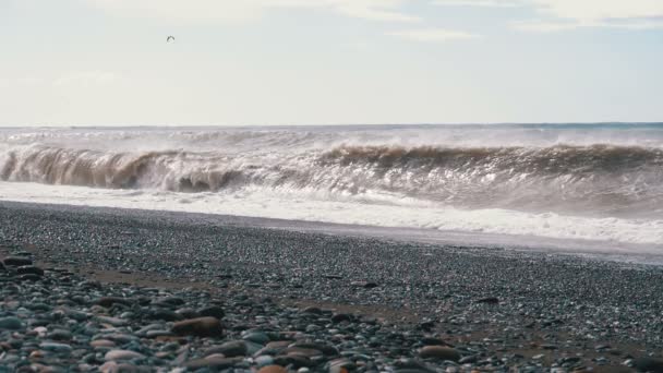 Tempête sur la mer. D'énormes vagues s'écrasent et pulvérisent sur la plage. Mouvement lent — Video