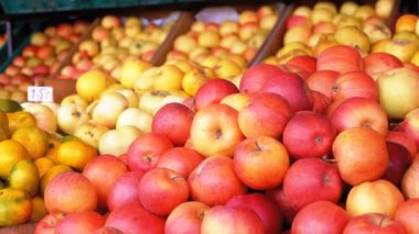 Mandalina, elma, armut, Trabzon hurması ve sokak piyasada farklı meyve ile vitrin