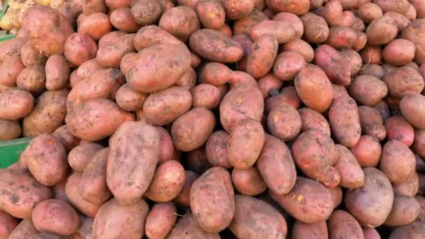 Escaparate con patatas en el mercado callejero — Vídeos de Stock