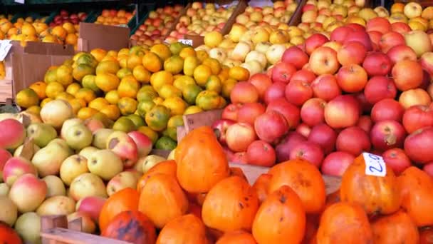 Schaufenster Mit Mandarinen Äpfeln Birnen Kaki Und Verschiedenen Früchten Auf — Stockvideo