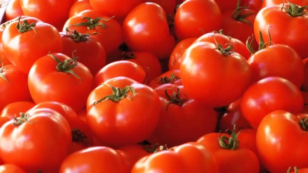 Vitrine mit Tomaten auf dem Wochenmarkt — Stockvideo