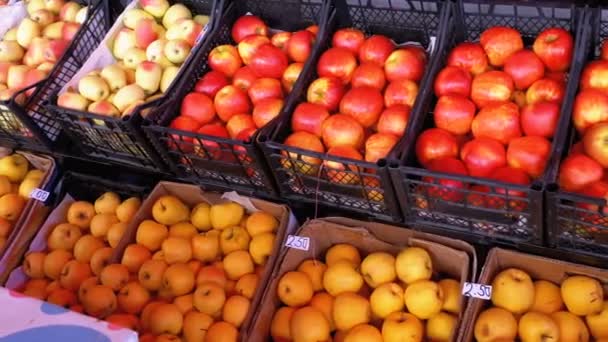 Escaparate con manzanas en el mercado callejero. Mercado agrario . — Vídeo de stock