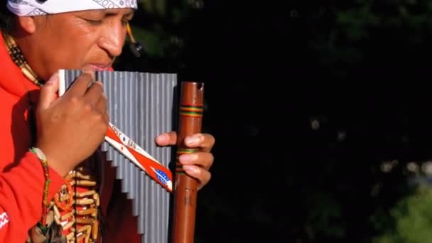 Um músico de rua em traje de um índio Peru toca América do Sul Bambu Flauta Pan e canta — Vídeo de Stock