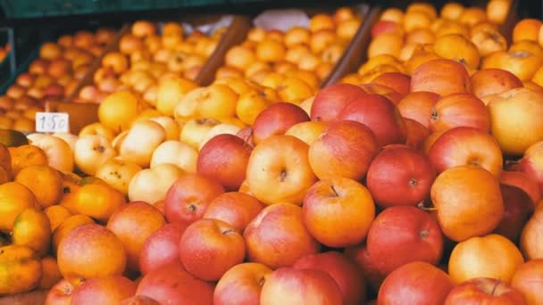 Vitrine met mandarijnen en appels, peren, Persimmon, verschillende Fruit op de straatmarkt — Stockvideo