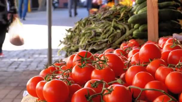 Mostra com tomate e outros legumes no mercado de rua — Vídeo de Stock