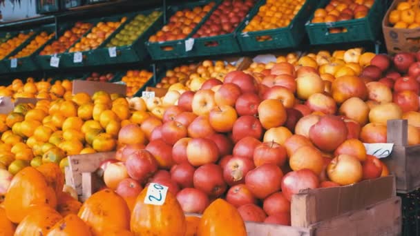 Vitrine mit Mandarinen, Äpfeln, Birnen, Kaki und verschiedenen Früchten auf dem Wochenmarkt — Stockvideo