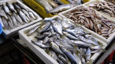 Taze deniz balığı buz sokak piyasada ile vitrin