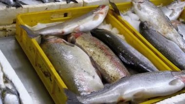 Taze deniz balığı buz sokak piyasada ile vitrin