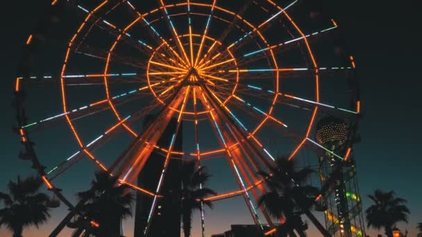 Riesenrad-Lichter bei Nacht und Palmen — Stockvideo