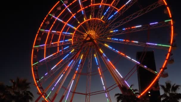 Luci della ruota panoramica di notte e palme — Video Stock