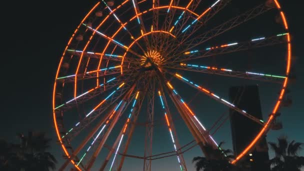 Luci della ruota panoramica di notte e palme — Video Stock
