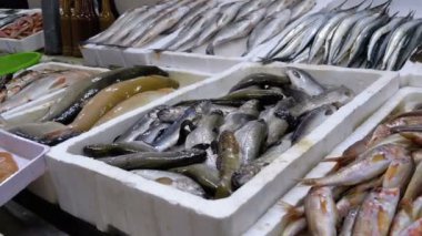 Taze deniz balığı buz sokak piyasada ile vitrin