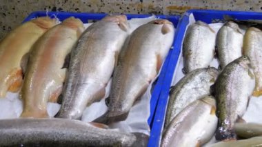 Taze deniz balığı buz sokak piyasada ile vitrin