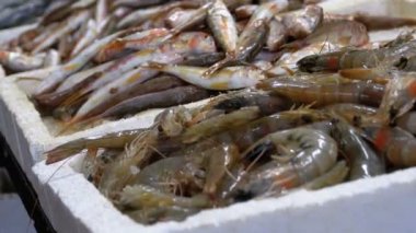 Vitrin kerevit semt pazarı buz ile