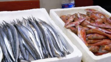 Taze deniz balığı buz sokak piyasada ile vitrin