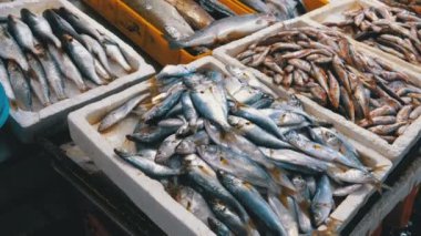 Taze deniz balığı buz sokak piyasada ile vitrin