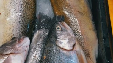 Taze deniz balığı buz sokak piyasada ile vitrin