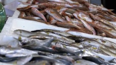 Taze deniz balığı buz sokak piyasada ile vitrin