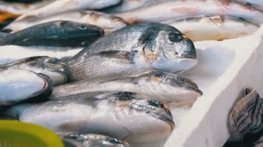Taze deniz balığı buz sokak piyasada ile vitrin