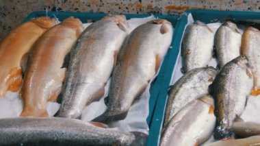 Taze deniz balığı buz sokak piyasada ile vitrin