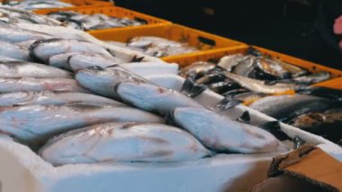 Taze deniz balığı buz sokak piyasada ile vitrin