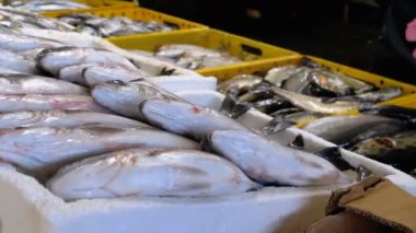 Taze deniz balığı buz sokak piyasada ile vitrin