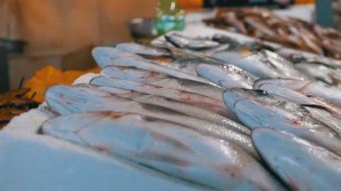 Taze deniz balığı buz sokak piyasada ile vitrin