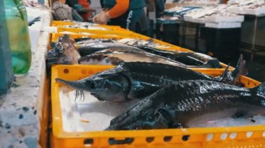 Taze deniz balığı buz sokak piyasada ile vitrin