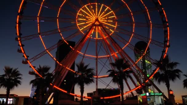 Ferris Wheel Lights na noite e palmeiras — Vídeo de Stock