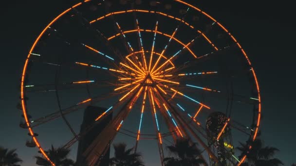 Dönme dolap ışıklar gece ve palmiye ağaçları — Stok video