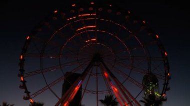 Dönme dolap ışıklar gece ve palmiye ağaçları. Dönme dolap üzerinde yanıp sönen ışıklar Neon renkli. Setin Batum, Gürcistan.