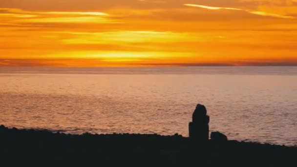 Silhouette d'une fille assise sur la plage au coucher du soleil — Video