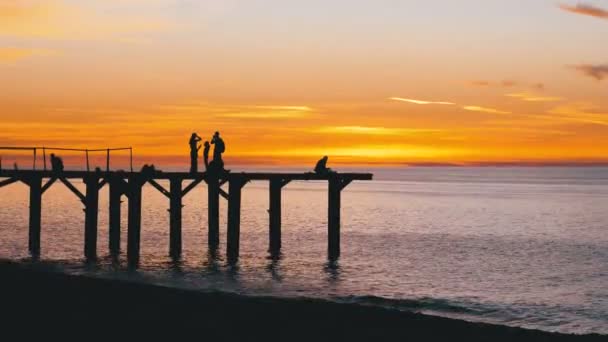 Silhouettes de jeunes sur la jetée de la mer au coucher du soleil — Video