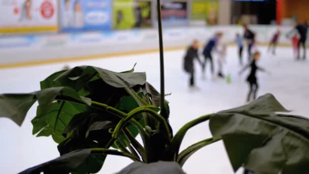アイス スケート リンク。人々 は、ぼかしのモールでスケートします。 — ストック動画