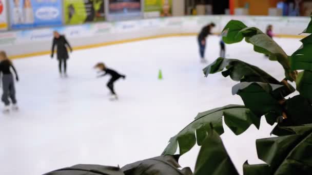 Isbanan. Människor skridskoåkning vid mall i en oskärpa — Stockvideo