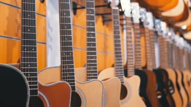 Birçok akustik gitar müzik mağazada asılı. Dükkanı müzik aletleri. — Stok video