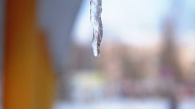 Kış buz sarkıtları erime çatıda damlıyor