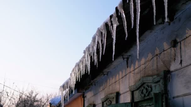 Χειμώνα τήξη Icicles στην οροφή είναι στάζει — Αρχείο Βίντεο