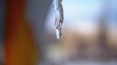 Kış buz sarkıtları erime çatıda damlıyor. Ağır çekim