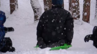 Çam ormanı içinde bir karlı tepeden aşağı kızakla çocuk. Ağır çekim