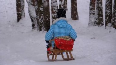 Ahşap kızak üzerinde kız çocuk çam ormanı içinde karlı tepeden aşağı gider. Ağır çekim