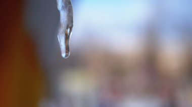 Kış buz sarkıtları erime çatıda damlıyor. Ağır çekim