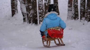 Ahşap kızak üzerinde kız çocuk çam ormanı içinde karlı tepeden aşağı gider. Ağır çekim