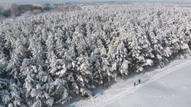 Kış çam ormanı ve güneşli bir kişi ile karlı yolu havadan görünümü